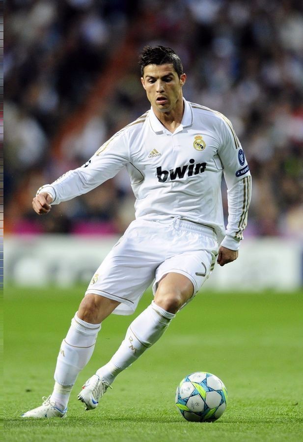 一种回归自 一种回归自