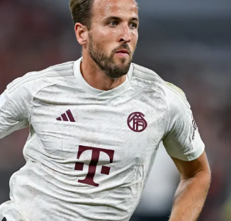 涯和生活态 涯和生活态