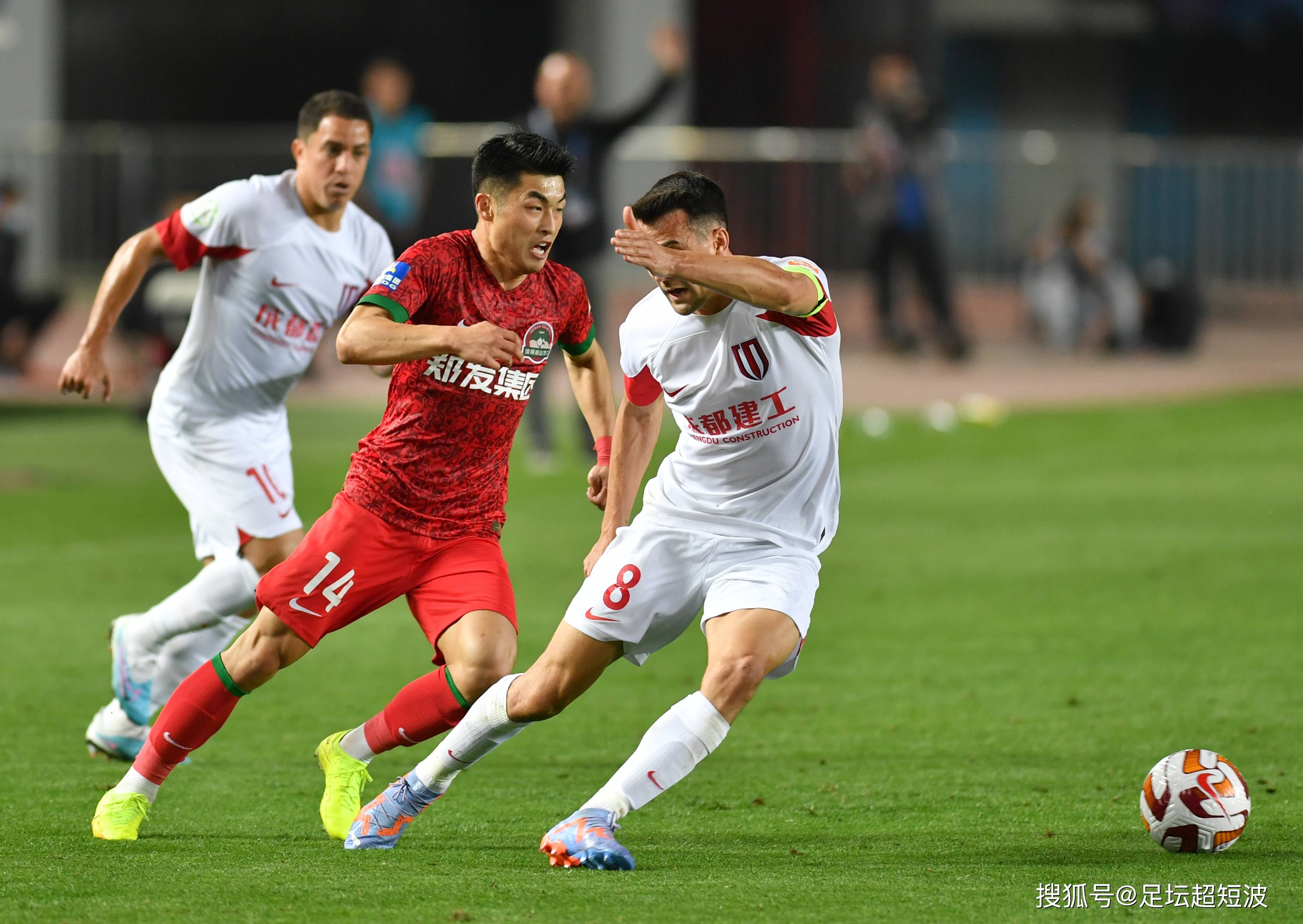 展现了极高 展现了极高