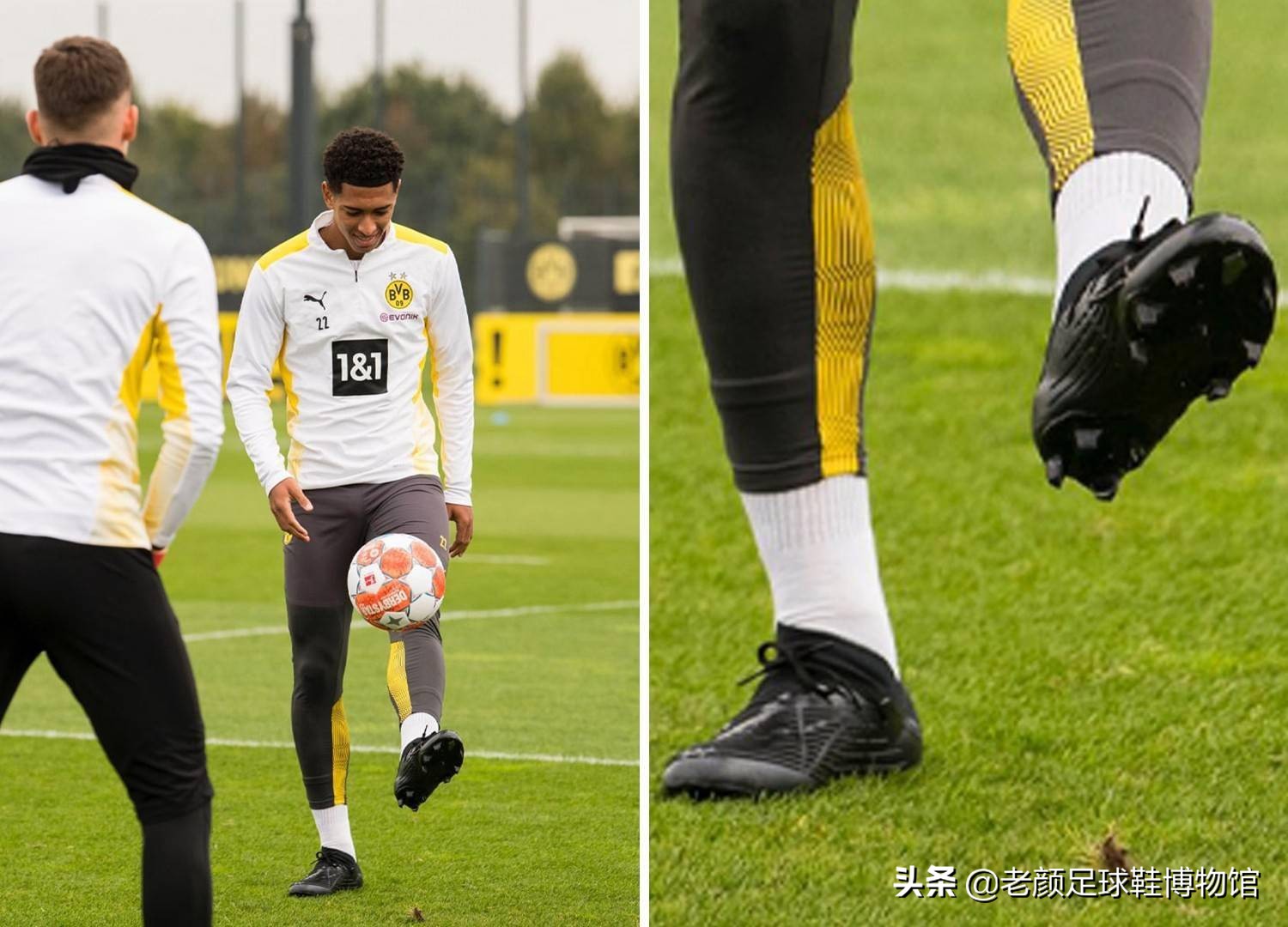 中国泳动向 中国泳动向