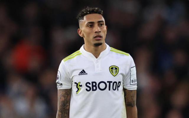 细节的毫不 细节的毫不